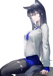 Rule 34 | 1girl, animal ear fluff, animal ears, arknights, black hair, black pantyhose, blue gloves, blue necktie, blue shorts, breasts, closed mouth, extra ears, feet out of frame, fingerless gloves, gloves, gnai, highres, large breasts, long hair, long sleeves, looking at viewer, necktie, pantyhose, shirt, shorts, sitting, smile, solo, tail, texas (arknights), texas the omertosa (arknights), torn clothes, torn pantyhose, very long hair, white shirt, wolf ears, wolf girl, wolf tail