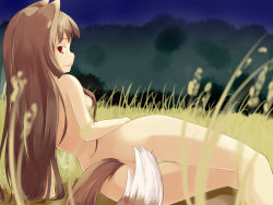 Rule 34 | 00s, 1girl, animal ears, arm support, ass, bad id, bad pixiv id, censored, convenient censoring, from behind, hair censor, hair over breasts, holo, kuro (be ok), long hair, looking at viewer, looking back, lying, nude, on side, smile, solo, spice and wolf, tail, tail censor, thigh gap, thighs, wheat, wolf ears, wolf tail