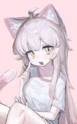 Rule 34 | 1girl, absurdres, ahoge, animal ear fluff, animal ears, brown eyes, cat ears, cat girl, cat tail, fang, hand on own cheek, hand on own face, highres, komi (trickcal), long hair, looking at viewer, messy hair, myanja, open mouth, pink background, pink hair, pink shorts, shirt, short shorts, shorts, simple background, sitting, slit pupils, smile, solo, tail, trickcal, white shirt