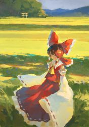 Rule 34 | 1girl, ascot, blush, bow, brown eyes, brown hair, closed mouth, collared vest, commentary, detached sleeves, feet out of frame, field, fjsmu, frilled bow, frills, grass, hair bow, hair tubes, hakurei reimu, highres, looking at viewer, medium hair, mountainous horizon, nature, red bow, red skirt, red vest, ribbon-trimmed skirt, ribbon-trimmed sleeves, ribbon trim, scenery, skirt, skirt set, sleeves past fingers, sleeves past wrists, solo, torii, touhou, tree, vest, white sleeves, wide sleeves, wind, yellow ascot