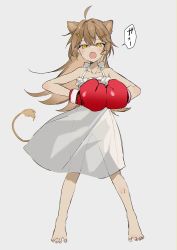 Rule 34 | 1girl, absurdres, animal ears, bare shoulders, barefoot, boxing gloves, dress, facing viewer, full body, grey background, highres, indie virtual youtuber, lion ears, lion girl, lion tail, looking at viewer, omutatsu, rurudo lion, see-through, see-through dress, solo, standing, tail, virtual youtuber, white dress, yellow eyes