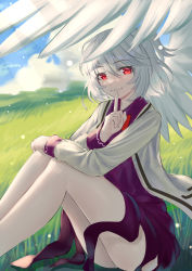 Rule 34 | 1girl, absurdres, ailu elf, ass, blue sky, blush, bow, bowtie, breasts, chinese commentary, closed mouth, cloud, cloudy sky, collared dress, collared jacket, commentary request, dress, feet out of frame, grass, grey hair, grey jacket, hair between eyes, hand up, highres, jacket, kishin sagume, legs, long sleeves, looking to the side, medium breasts, nature, open clothes, open jacket, outdoors, pointing, ponytail, puffy long sleeves, puffy sleeves, purple dress, red bow, red bowtie, red eyes, scenery, short hair, short ponytail, single wing, sitting, sky, smile, solo, thighs, touhou, wings