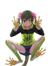 Rule 34 | 1girl, :q, all fours, ari hinoko, bad id, bad twitter id, blue eyes, blue shorts, colored skin, commentary request, flower, frog girl, green hair, hair flower, hair ornament, heterochromia, highres, hood, hood down, hoodie, horizontal pupils, long sleeves, looking at viewer, mismatched pupils, monster girl, multicolored skin, original, pink flower, short shorts, shorts, simple background, smile, solo, tail, tongue, tongue out, twintails, wet, white background, yellow eyes