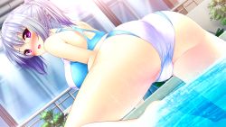 Rule 34 | 1girl, ass, back, bare shoulders, blush, breasts, embarrassed, female focus, from behind, game cg, giga (company), izumo kasumi (ren&#039;ai phase), large breasts, legs, long hair, looking back, nironiro, open mouth, partially submerged, pink eyes, ponytail, pool, ren&#039;ai phase, shiny skin, sideboob, solo, swimsuit, thighs, water, wet, white hair