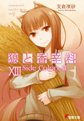 Rule 34 | 1girl, animal ears, ayakura juu, brown hair, copyright name, cover, cover page, highres, holo, long hair, novel cover, official art, red eyes, solo, spice and wolf, tail, wheat, wolf ears, wolf tail