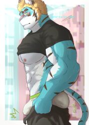 Rule 34 | 1boy, abs, animal ears, ass, ass lift, bara, black shirt, blonde hair, blue fur, blush, building, bulge, bulge lift, character request, dressing, feet out of frame, from side, furry, furry male, green eyes, highres, i&#039;ve never seen a guy recreate this successfully tbh (meme), large pectorals, live a hero, long sideburns, looking at viewer, male focus, male underwear, meme, muscular, muscular male, nipples, open pants, orea-doi, pants, pants lift, pectorals, shirt, short hair, shy, sideburns, solo, stomach, tiger boy, tiger ears, underpec, undersized clothes, underwear, white male underwear