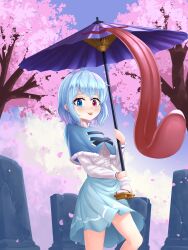 Rule 34 | 1girl, absurdres, blue capelet, blue eyes, blue skirt, capelet, cherry blossoms, commentary, cross-laced clothes, english commentary, feet out of frame, heterochromia, highres, holding, holding umbrella, karakasa obake, looking at viewer, outdoors, purple eyes, purple umbrella, pygrenix, shirt, skirt, solo, tatara kogasa, tombstone, tongue, tongue out, touhou, tree, umbrella, white shirt, wild and horned hermit
