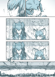 Rule 34 | 10s, 2girls, animal ears, bus stop, cat ears, comic, expressionless, eye contact, face, food, head wings, highres, japari bun, kemono friends, long hair, looking at another, mouth hold, multiple girls, outdoors, parted lips, rain, sand cat (kemono friends), shirt, shoebill (kemono friends), short hair, sideways glance, silent comic, smile, staring, water drop, wet, wet clothes, wet hair, wet shirt, wings, yamabuki ryuu, yamabukiryuu (k cnw)