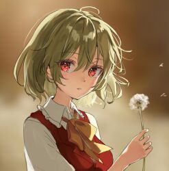 Rule 34 | 1girl, collared shirt, flower, green hair, holding, holding flower, kazami yuuka, parted lips, puffy short sleeves, puffy sleeves, red eyes, red vest, shironeko yuuki, shirt, short hair, short sleeves, solo, touhou, upper body, vest, white shirt