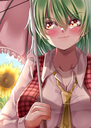 Rule 34 | 1girl, absurdres, blush, breasts, cleavage, closed mouth, cloud, collarbone, collared shirt, commentary request, day, flower, frills, green hair, hair between eyes, highres, holding, holding umbrella, kazami yuuka, large breasts, lips, long sleeves, looking to the side, mahoro (minase mahoro), medium hair, necktie, open clothes, open vest, outdoors, parasol, pink umbrella, plaid, plaid vest, red eyes, red vest, shirt, sky, smile, solo, sunflower, touhou, umbrella, vest, white shirt, yellow flower, yellow necktie