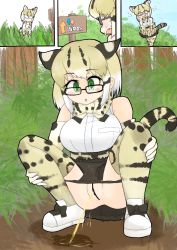 Rule 34 | animal ears, censored, glasses, grass, green eyes, highres, kemono friends, margay (kemono friends), mita98, open mouth, outdoors, panties, panty pull, peeing, puddle, pussy, squatting, sweat, tall grass, underwear