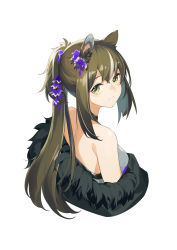 Rule 34 | 1girl, absurdres, animal ear fluff, animal ears, arknights, bare shoulders, black choker, breasts, brown hair, choker, closed mouth, cropped torso, flower, from above, fur trim, hair flower, hair ornament, highres, long hair, looking at viewer, looking back, looking up, medium breasts, multicolored hair, off shoulder, official alternate costume, ponytail, purple flower, raccoon ears, robin (arknights), robin (gift of wild) (arknights), sidelocks, smile, solo, streaked hair, syaoranen, two-tone hair, upper body, white hair, yellow eyes
