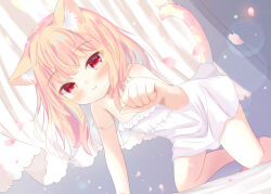 Rule 34 | 1girl, all fours, animal ear fluff, animal ears, blonde hair, cat day, cat ears, cat girl, cat tail, flat chest, looking at viewer, medium hair, nightgown, original, petals, red eyes, strap slip, tail, umi suzume, white nightgown