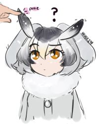 Rule 34 | 10s, 1girl, absurdres, buttons, coat, commentary request, fur-trimmed coat, fur trim, grey coat, grey hair, hair between eyes, hhhori, highres, kemono friends, looking up, northern white-faced owl (kemono friends), orange eyes, poking, raised eyebrow, short hair, signature, simple background, solo focus, white background