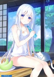 Rule 34 | 1girl, absurdres, animal, bare arms, bare legs, bare shoulders, bottle, breasts, brown eyes, camisole, cat, closed mouth, cloud, cloudy sky, collarbone, day, food, fruit, highres, holding, holding bottle, long hair, looking at viewer, melonbooks, nanotaro, no pants, outdoors, panties, plate, scan, shirt, sidelocks, sitting, sky, sleeveless, sleeveless shirt, small breasts, smile, solo, sunlight, thighs, tree, underwear, veranda, very long hair, water bottle, white hair, white panties, white shirt