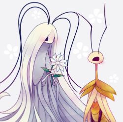 Rule 34 | blush, bug, couple, flower, hollow knight, insect, masyu ori, moth, no humans, praying mantis, traitor&#039;s child (hollow knight), white flower, ze&#039;mer (hollow knight)