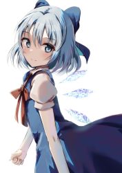Rule 34 | 1girl, blue bow, blue dress, blue eyes, blue hair, bow, bowtie, cirno, closed mouth, dress, hair bow, highres, ice, ice wings, looking at viewer, natsume suzuri, red bow, red bowtie, short sleeves, simple background, smile, solo, touhou, upper body, white background, wings