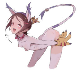 Rule 34 | 1girl, animal ears, animal hands, bandaid, bandaids on nipples, bent over, blush, bodypaint, breasts, brown hair, cat ears, collar, cosplay, digimon, digimon adventure 02, fangs, gloves, hair ornament, hairclip, leaning forward, looking at viewer, nude, open mouth, painted clothes, pasties, paw gloves, simple background, small breasts, smile, solo, tail, tailmon, tailmon (cosplay), ter (otokoter), yagami hikari