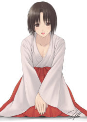 Rule 34 | akeome, happy new year, japanese clothes, kneeling, miko, new year, original, signature, simple background, solo, yukihiro
