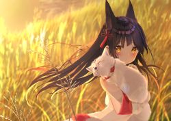 Rule 34 | 1girl, absurdres, animal, animal ears, azur lane, bare shoulders, blurry, blurry background, blush, brown eyes, brown hair, closed mouth, commentary request, daitai sotogawa (futomomo), depth of field, detached sleeves, field, fox, fox ears, hair ornament, hand up, highres, long hair, looking at viewer, looking to the side, nagato (azur lane), outdoors, solo, sunset, tassel, very long hair, white sleeves