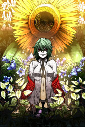 Rule 34 | 1girl, black panties, bottomless, breasts, cleavage, colorized, dress shirt, female focus, flower, frown, green hair, harusame (unmei no ikasumi), iro marimo, kazami yuuka, large breasts, nature, navel, no bra, no pants, open clothes, open shirt, panties, plaid, plaid vest, red eyes, shirt, solo, sunflower, touhou, underwear, undressing, vest
