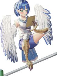 Rule 34 | 1girl, absurdres, bird tail, blue feathers, blue hair, blue shorts, blush, breasts, chinese commentary, clipboard, commentary request, feathers, green eyes, harpy, highres, holding, holding pen, holding with feet, monster girl, mouth hold, original, pb250, pen, shirt, short hair, shorts, simple background, sleeveless, sleeveless shirt, small breasts, tail, talons, white background, white feathers, white wings, wings, writing
