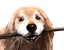 Rule 34 | animal, animal focus, bernin, black eyes, brown fur, close-up, commentary request, dog, highres, holding, holding stick, looking at viewer, mouth hold, no humans, original, portrait, realistic, simple background, smile, stick, teeth, whiskers, white background