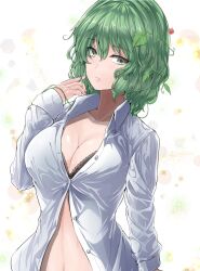 Rule 34 | 1girl, bra, breasts, cleavage, collared shirt, green eyes, green hair, kazami yuuka, large breasts, leaf, looking at viewer, open clothes, open shirt, shirt, short hair, simple background, solo, touhou, underwear, white background, white shirt, y2