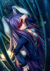 Rule 34 | 1girl, animal ears, bamboo, bamboo forest, blazer, breasts, cleavage, female focus, forest, hand over face, jacket, kaizeru, lantern, long hair, medium breasts, nature, necktie, parted lips, purple hair, rabbit ears, rabbit girl, rabbit tail, red eyes, reisen udongein inaba, skirt, solo, tail, touhou, undone necktie