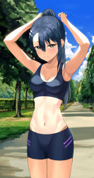 Rule 34 | 1girl, armpits, arms up, bare arms, bare shoulders, bike shorts, black hair, black shorts, breasts, closed mouth, collarbone, commentary request, cowboy shot, crop top, day, hair between eyes, highres, ijiranaide nagatoro-san, long hair, looking at viewer, medium breasts, michelan, midriff, nagatoro hayase, navel, one-piece tan, orange eyes, outdoors, ponytail, short shorts, shorts, sleeveless, smile, solo, sports bra, standing, stomach, sweat, tan, tanline, thighs, tying hair