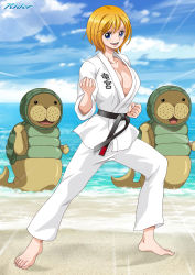 Rule 34 | beach, blue eyes, breasts, cleavage, dougi, highres, karate, karate gi, koala (one piece), kung fu dugong, large breasts, light brown hair, martial arts belt, one piece, rider (orange couture), short hair, smile, tagme, training