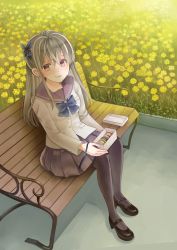 Rule 34 | 1girl, bench, black footwear, black pantyhose, blazer, blue neckwear, blurry, bow, box, breasts, butterfly hair ornament, commentary request, crying, crying with eyes open, day, depth of field, food, hair ornament, half updo, highres, holding, holding box, holding ribbon, jacket, kisshou mizuki, light brown hair, light smile, long hair, looking at viewer, macaron, original, outdoors, pantyhose, purple eyes, purple sailor collar, rapeseed blossoms, ribbon, sailor collar, school uniform, shadow, sitting, small breasts, solo, tears, very long hair
