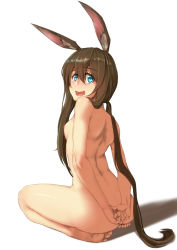 Rule 34 | 1girl, amiya (arknights), animal ears, arknights, arms behind back, ass, barefoot, blue eyes, blush, breasts, brown hair, commentary request, from behind, highres, kneeling, long hair, nipples, ponytail, rabbit ears, simple background, small breasts, soles, solo, wavy mouth, white background, yamauchi (conan-comy)