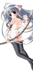 Rule 34 | animal ears, bandages, blood, cat ears, chain, green hair, long image, maebari, solo, tall image, thighhighs