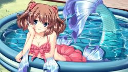 Rule 34 | 1girl, artist request, bikini, blue eyes, blush, breasts, brown hair, cleavage, fins, frilled bikini, frills, game cg, head fins, looking at viewer, medium breasts, medium hair, mermaid, monster girl, monster musume no iru nichijou, monster musume no iru nichijou online, official art, partially submerged, pink bikini, rui (monster musume), solo, swimsuit, wading pool