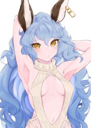 Rule 34 | 1girl, absurdres, animal ears, armpits, arms behind head, arms up, bare shoulders, blush, breasts, clothing cutout, collarbone, covered erect nipples, ear piercing, ferry (granblue fantasy), granblue fantasy, hair between eyes, hand in own hair, highres, inuinuo gataken, long hair, looking at viewer, meme attire, navel, nude, piercing, presenting armpit, small breasts, solo, stomach, sweater, toned, turtleneck, turtleneck sweater, upper body, virgin killer sweater