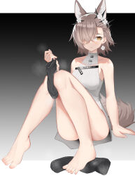 Rule 34 | 1girl, absurdres, animal ear fluff, animal ears, arknights, bare shoulders, barefoot, black background, black leg warmers, blush, border, breath, bright pupils, brown hair, brown tail, chinese commentary, closed mouth, collarbone, commentary request, dress, earrings, fingernails, flower, flower earrings, full body, gradient background, grey background, grey dress, hair behind ear, hair flower, hair ornament, hair over one eye, highres, jewelry, knees together feet apart, leg warmers, mole, mole above eye, muusn, one eye covered, outside border, penance (arknights), ribbed dress, short dress, short hair, sitting, sleeveless, sleeveless dress, sweater, sweater dress, tail, toenails, toes, turtleneck, unworn legwear, white border, white flower, white pupils, yellow eyes