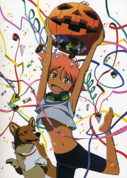 Rule 34 | 1girl, armpits, arms up, bare arms, barefoot, bike shorts, brown eyes, candy, clothes lift, confetti, convenient censoring, cowboy bebop, dark-skinned female, dark skin, dog, dot nose, edward wong hau pepelu tivrusky iv, ein (cowboy bebop), eyebrows hidden by hair, feet, female focus, flat chest, food, foot out of frame, halloween, highres, jack-o&#039;-lantern, looking at viewer, midriff, navel, off2, open mouth, shirt, short hair, short sleeves, sleeveless, sleeveless shirt, smile, source request, stomach, tareme, tongue, tongue out, white background