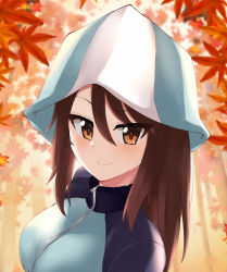 Rule 34 | 1girl, absurdres, autumn, autumn leaves, backlighting, blue hat, blue jacket, blurry, blurry background, brown eyes, brown hair, closed mouth, commentary, day, depth of field, girls und panzer, hat, highres, jacket, keizoku military uniform, kurokimono001, long hair, looking at viewer, mika (girls und panzer), military, military uniform, outdoors, portrait, raglan sleeves, smile, solo, track jacket, tulip hat, uniform, zipper
