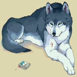 Rule 34 | animal, animal focus, blood, blue eyes, cigarette, lying, marlboro, murata (pixiv49763), no humans, product placement, wolf