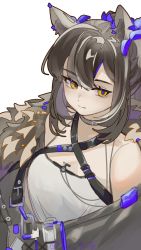 Rule 34 | 1girl, animal ears, arknights, bare shoulders, brown hair, closed mouth, female focus, fur trim, grey choker, hair ornament, highres, lierenfelon, long hair, looking at viewer, off shoulder, official alternate costume, ponytail, raccoon ears, robin (arknights), robin (gift of wild) (arknights), shirt, simple background, smile, solo, upper body, white background, white shirt, yellow eyes