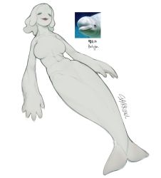 Rule 34 | 1girl, artist name, beluga whale, colored skin, closed eyes, fins, full body, highres, monster girl, open mouth, original, personification, photo inset, reference inset, short hair, simple background, solo, sparrowl, white background, white hair, white skin