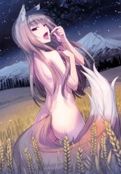 Rule 34 | 1girl, absurdres, animal ears, ass, back, blunt bangs, brown hair, cowboy shot, dimples of venus, field, food, from behind, gradient hair, grey hair, hair over breasts, hair over one breast, highres, holding, holding food, holo, koume keito, legs apart, long hair, looking at viewer, looking back, mountain, multicolored hair, night, night sky, nude, official art, red eyes, scan, shoulder blades, sky, solo, spice and wolf, standing, star (sky), starry sky, straight hair, tail, tongue, tongue out, wheat, wolf ears, wolf tail