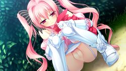 Rule 34 | 1girl, blush, censored, chuablesoft, embarrassed, game cg, garter straps, highres, kunai uri, legs, long hair, looking down, mosaic censoring, noblesse of rouge, panties, panty pull, pink eyes, pink hair, pussy, solo, squatting, susakuooji hotoha, thighhighs, thighs, twintails, underwear, white panties