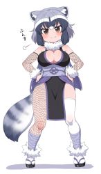 Rule 34 | 1girl, animal ears, bandages, bare shoulders, blush, breasts, brown eyes, cleavage, common raccoon (kemono friends), fang, fang out, fishnet gloves, fishnet socks, fishnets, full body, fur collar, gloves, grey hair, hands on own hips, kemono friends, large breasts, looking at viewer, multicolored hair, ninja, obi, pelvic curtain, raccoon ears, raccoon tail, ransusan, sash, short hair, simple background, smile, smug, socks, solo, tail, thighhighs, white background, white hair, white socks