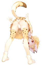 Rule 34 | 10s, 1girl, animal ears, arare mochiko, ass, bent over, blonde hair, bow, bowtie, elbow gloves, full body, gloves, highres, kemono friends, panties, red eyes, serval (kemono friends), serval print, serval tail, shoes, simple background, skirt, solo, tail, thighhighs, underwear, white background, white panties, yellow bow, yellow bowtie, yellow gloves, yellow skirt, yellow thighhighs