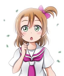 Rule 34 | 1girl, :o, blush, bow, brown hair, clenched hand, confetti, cosplay, extra, green eyes, hair between eyes, hair bow, hoshino ouka, love live!, neckerchief, one side up, open mouth, orange hair, pink bow, ponytail, ribbon, school uniform, serafuku, solo, upper body