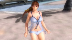 Rule 34 | 1girl, 3d, beach, breasts, dead or alive, dead or alive 5, kasumi (doa), large breasts, long hair, ocean, official art, ponytail, solo, tecmo
