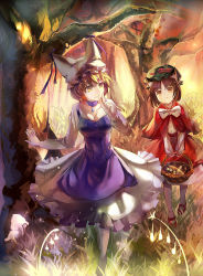 Rule 34 | 2girls, :&lt;, alternate costume, animal ears, basket, blonde hair, breasts, brown eyes, brown hair, capelet, carrying, cat ears, cat girl, chen, cleavage, dress, female focus, finger to mouth, forest, frilled skirt, frills, grass, hat, hat ribbon, hat with ears, looking at another, mary janes, multiple girls, nature, open mouth, pantyhose, red footwear, ribbon, rifsom, shoes, short hair, shushing, skirt, smile, touhou, tree, white legwear, yakumo ran, yellow eyes