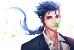 Rule 34 | 1boy, bad id, bad pixiv id, blue hair, clover, cu chulainn (fate), danhu, earrings, fate/stay night, fate (series), formal, four-leaf clover, jewelry, kawells, cu chulainn (fate/stay night), long hair, male focus, mouth hold, ponytail, red eyes, solo, suit, wind